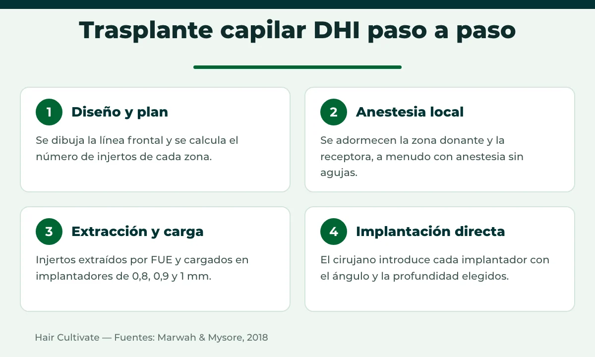 Pasos del trasplante capilar DHI: diseño, anestesia local, extracción FUE, carga e implantación directa