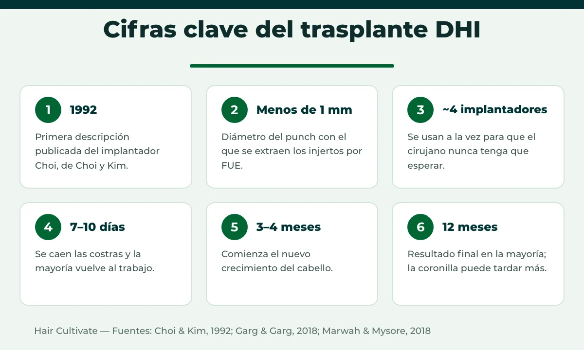 Cifras del trasplante capilar DHI: implantador Choi, tamaño del punch y calendario de recuperación
