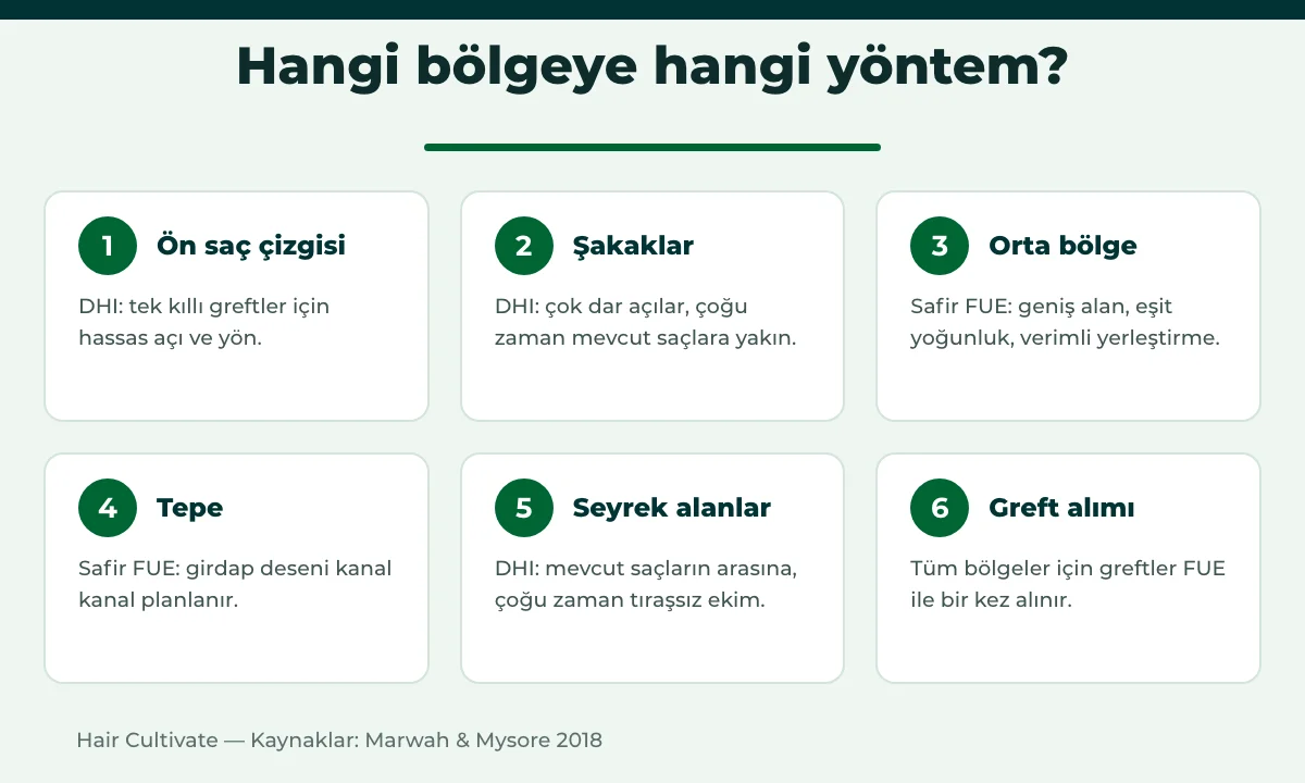 Hibrit saç ekimi bölge planı: saç çizgisi, şakaklar, orta bölge ve tepe için yöntemler