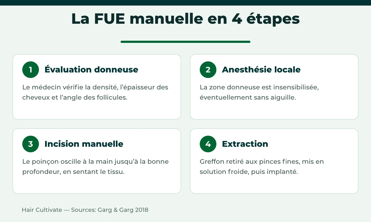 Étapes de la FUE manuelle : évaluation, anesthésie, incision manuelle, extraction