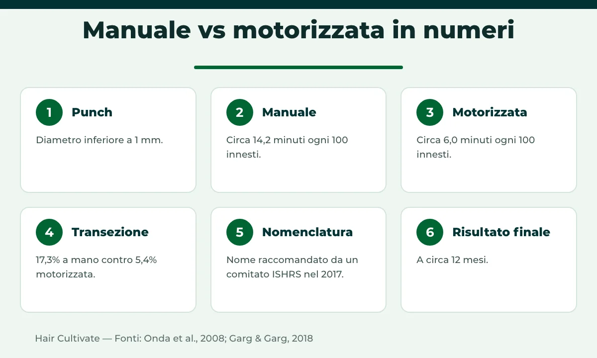 FUE manuale contro motorizzata: tempi per 100 innesti e tassi di transezione