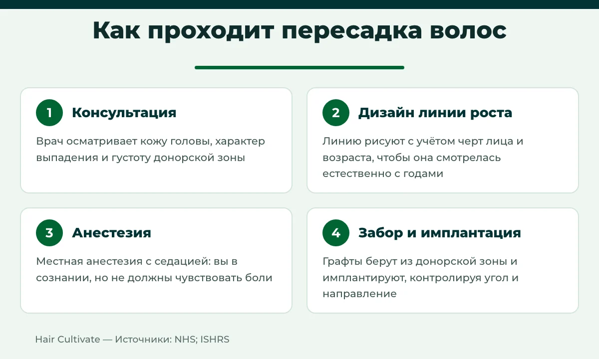Инфографика: как проходит пересадка волос в Турции — консультация, дизайн, анестезия, имплантация