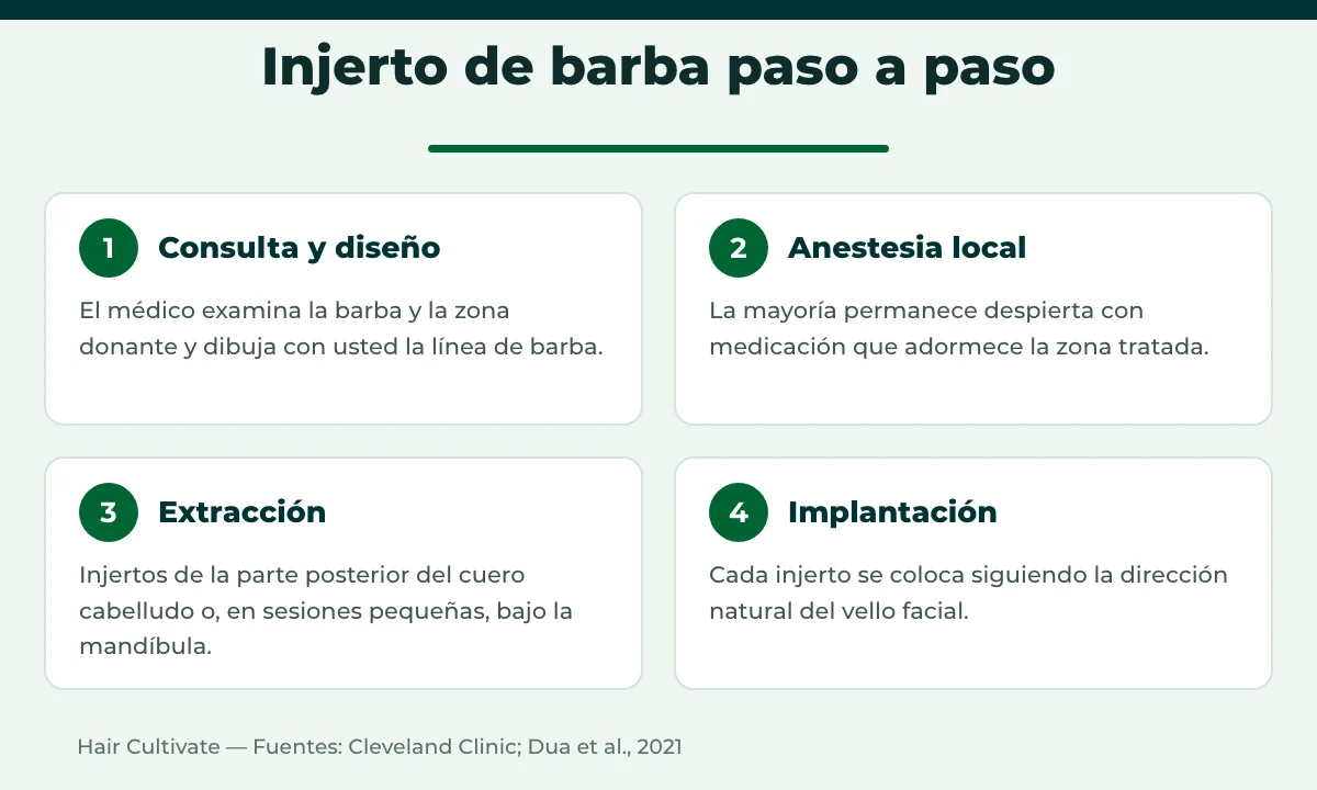 Pasos del injerto de barba en Turquía: consulta y diseño, anestesia local, extracción e implantación