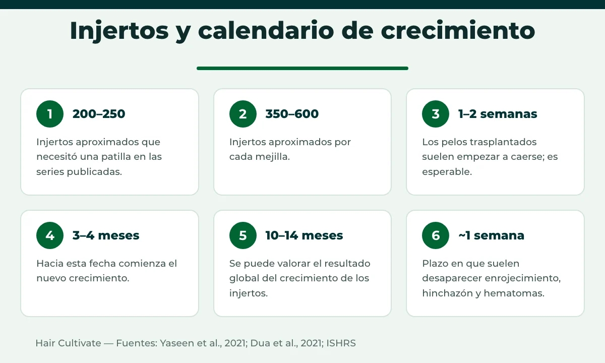 Injerto de barba en Turquía: número de injertos por zona y calendario de crecimiento del vello