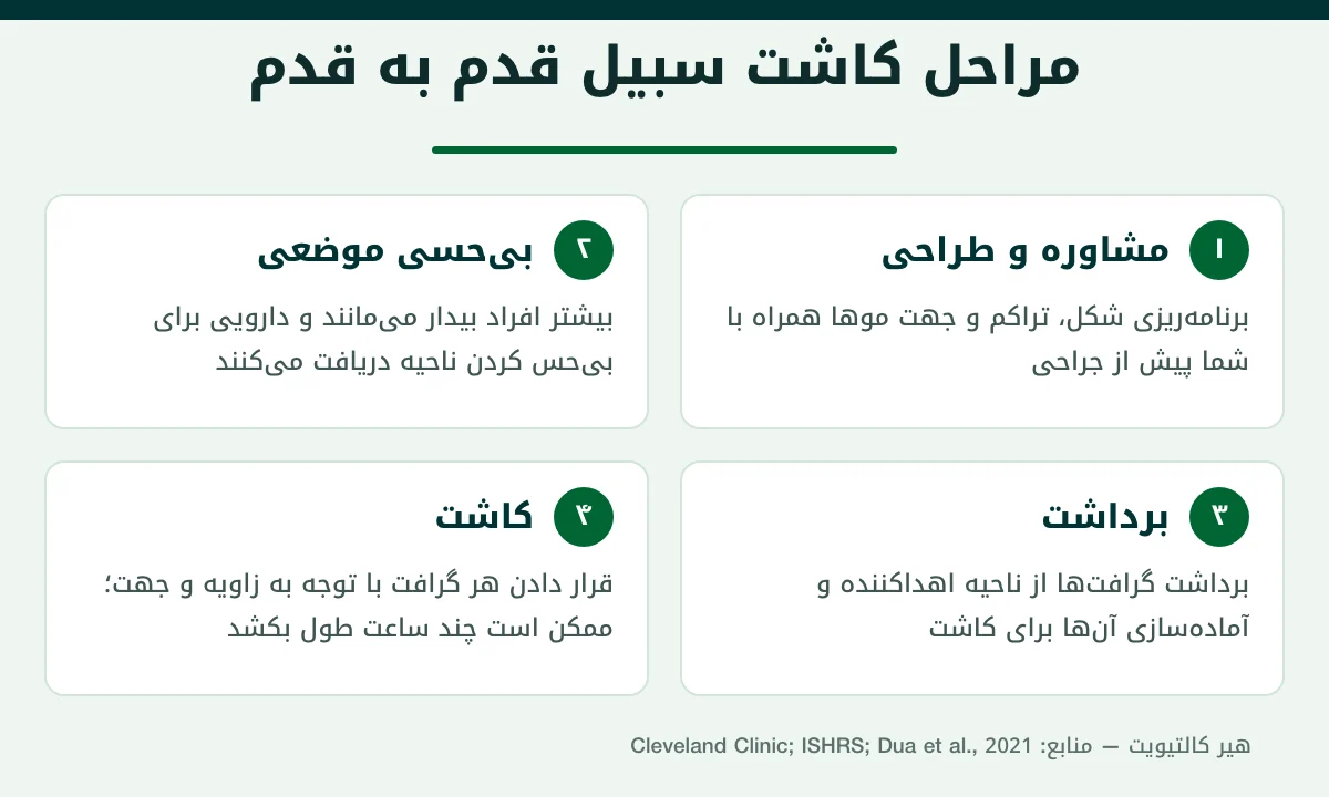 اینفوگرافیک مراحل کاشت سبیل در ترکیه از طراحی و بیحسی تا برداشت و کاشت گرافتها
