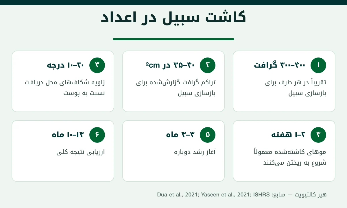 اینفوگرافیک اعداد کاشت سبیل در ترکیه: تعداد گرافت، تراکم، زاویه کاشت و زمان رشد