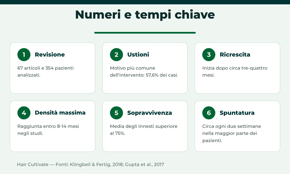Numeri del trapianto di sopracciglia in Turchia: ricrescita, densità massima e sopravvivenza