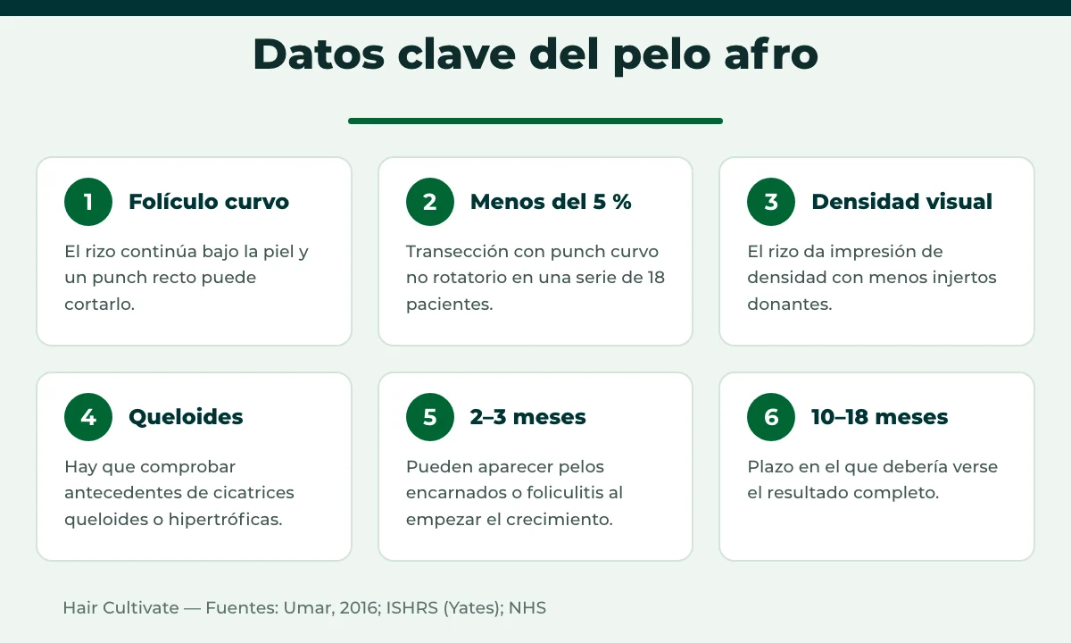 Datos clave del trasplante capilar afro en Turquía: folículos curvos, transección y queloides