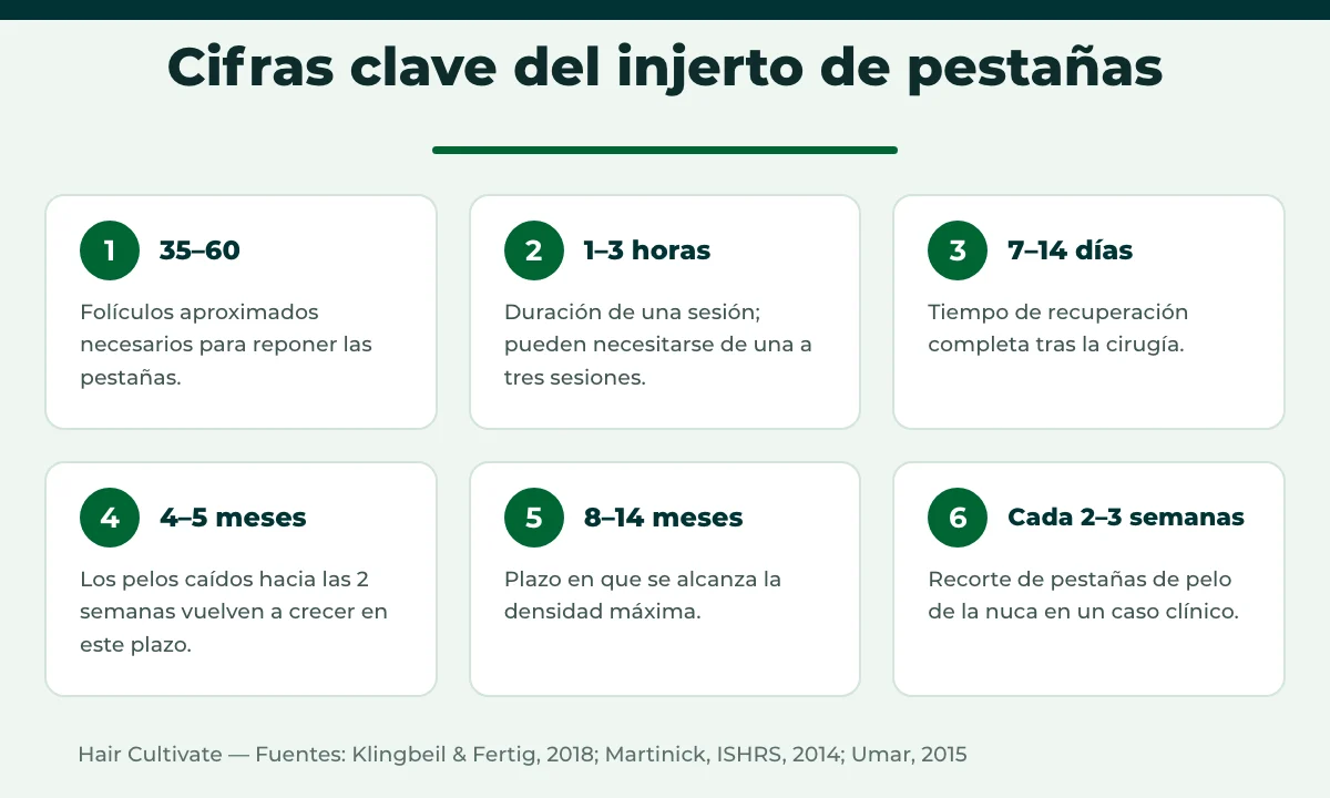 Cifras del injerto de pestañas en Turquía: folículos necesarios, sesiones, recuperación y crecimiento