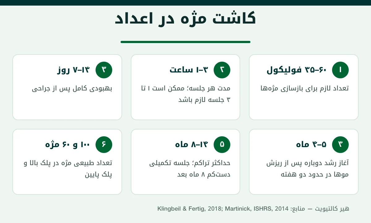 اینفوگرافیک اعداد کاشت مژه در ترکیه: تعداد فولیکول، مدت جلسه، بهبودی و زمان رشد