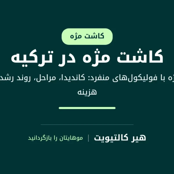 کاشت مژه در ترکیه با انتقال فولیکول‌های موی منفرد به لبه پلک برای بازسازی مژه‌ها