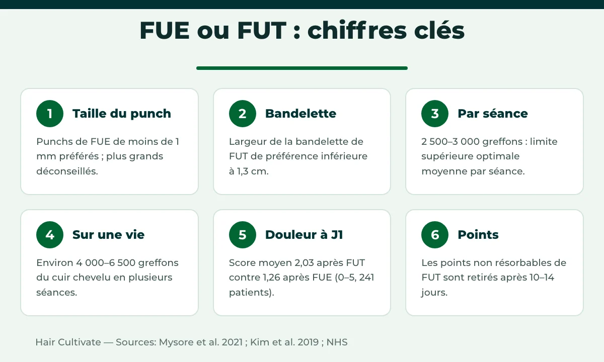 FUE ou FUT chiffres clés : taille du punch, largeur de bandelette et limites de greffons par séance