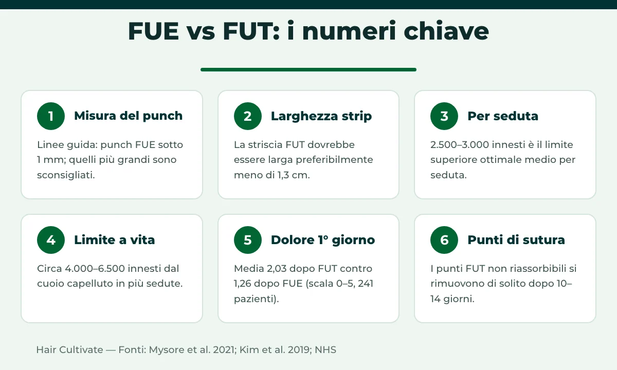 FUE vs FUT, numeri chiave: dimensione del punch, larghezza della striscia e limiti sicuri di innesti per seduta