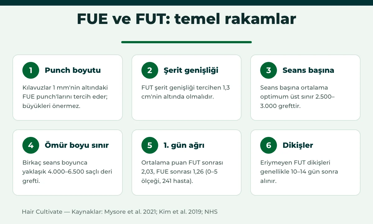 FUE ve FUT temel rakamları: punch boyutu, şerit genişliği ve seans başına güvenli greft sınırları