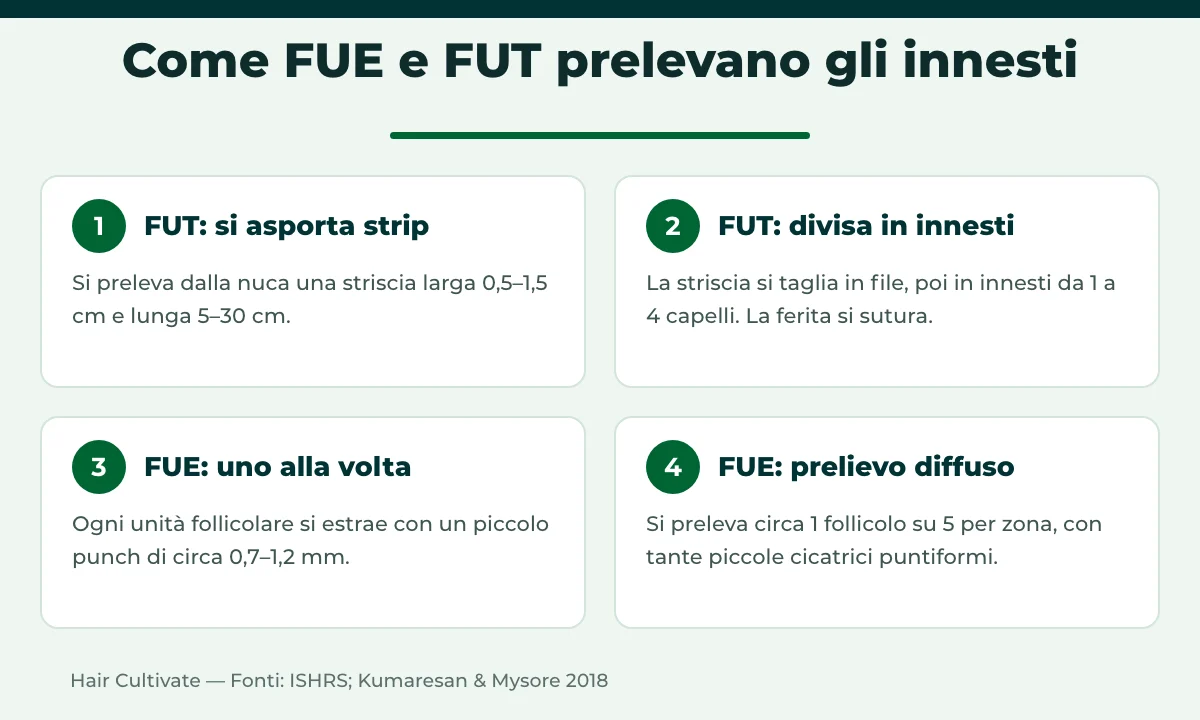 FUE vs FUT a confronto: asportazione e suddivisione della striscia contro estrazione con punch uno alla volta
