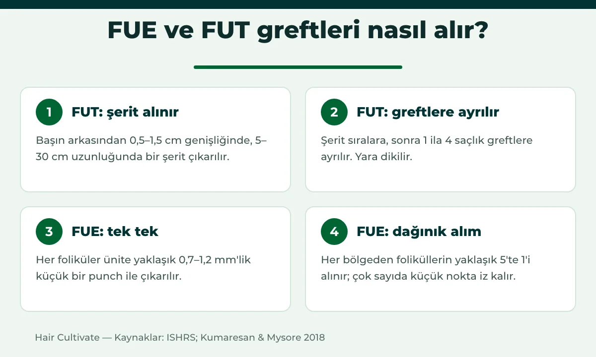 FUE ve FUT greft alımı karşılaştırması: şerit çıkarma ve ayırma ile punch ile tek tek alım