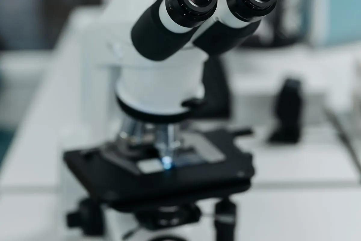 cuántos injertos necesito — microscopio de laboratorio para examinar injertos y cabello