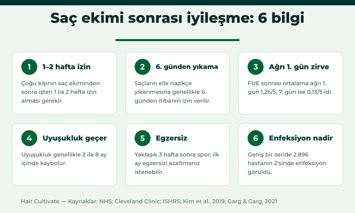 Saç ekimi sonrası iyileşme bilgileri: kabuklar, dökülme, yeni çıkış ve nihai sonuç