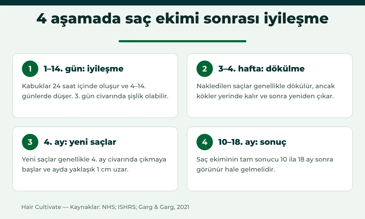 1. günden 18. aya dört aşamada saç ekimi sonrası iyileşme zaman çizelgesi