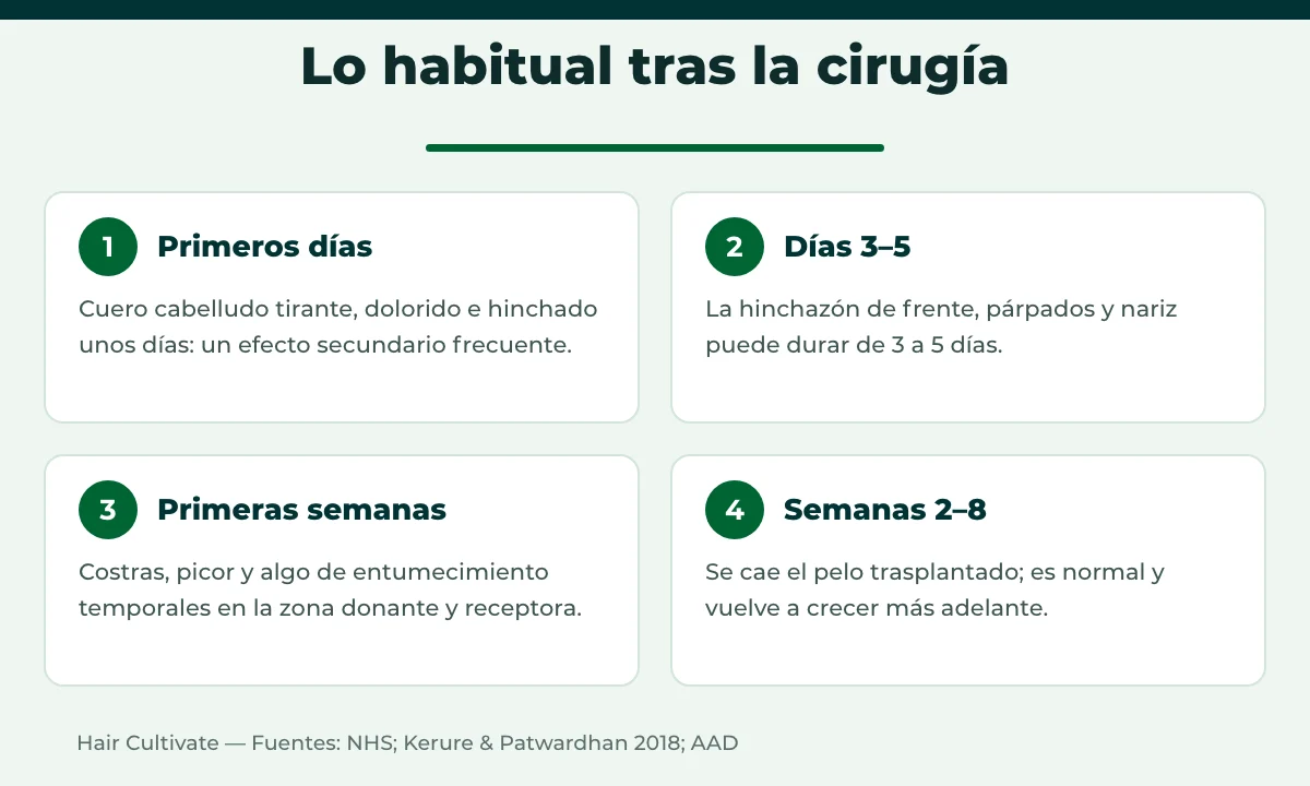 Cronología de los efectos secundarios del trasplante capilar frecuentes en las primeras semanas