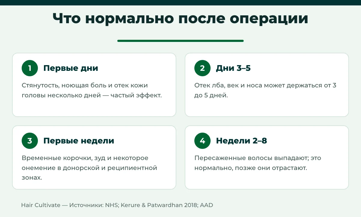 Побочные эффекты пересадки волос: хронология частых эффектов в первые недели