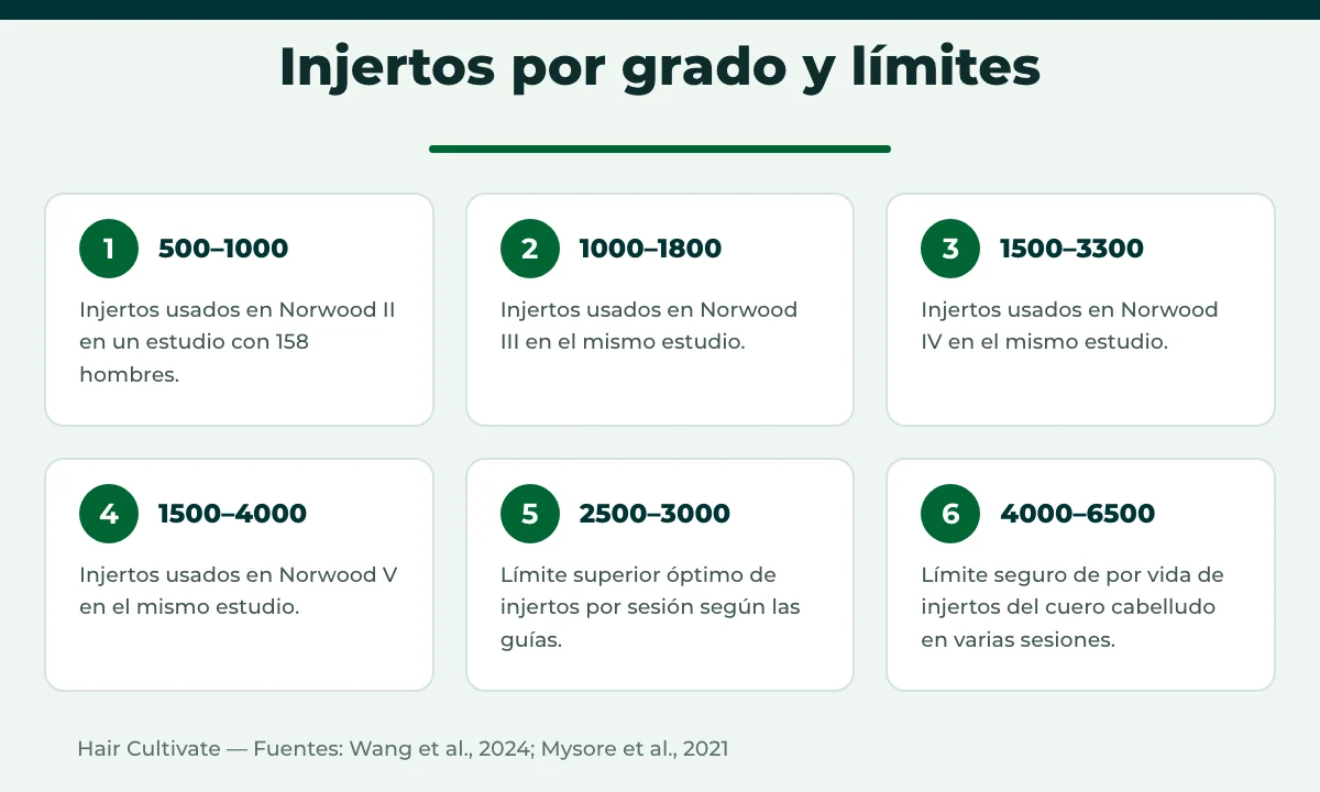 Cuántos injertos necesito: rangos de injertos por grado de Norwood y límites de la zona donante
