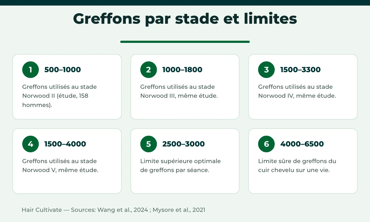 Combien de greffons : fourchettes selon le stade Norwood et limites de la zone donneuse