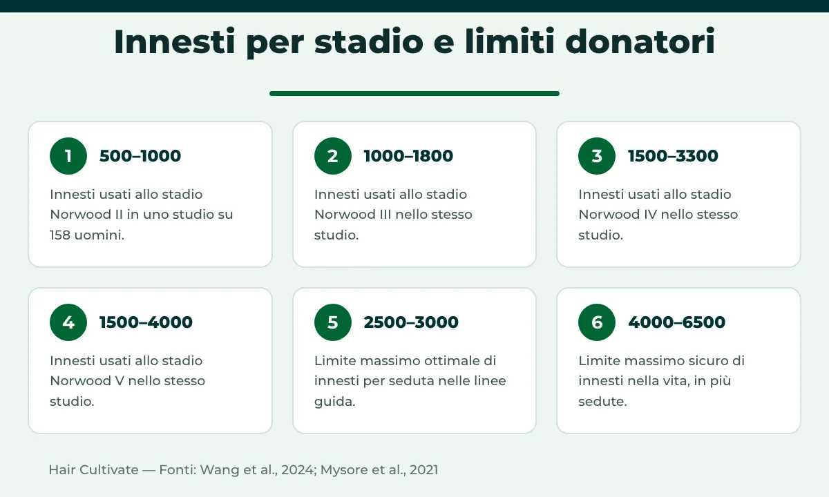 Quanti innesti servono: intervalli di innesti per stadio Norwood e limiti dell'area donatrice