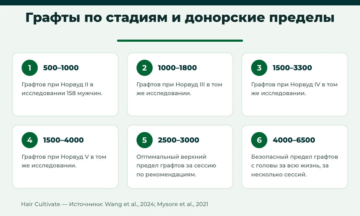 Сколько графтов нужно: диапазоны графтов по стадиям Норвуда и донорские пределы