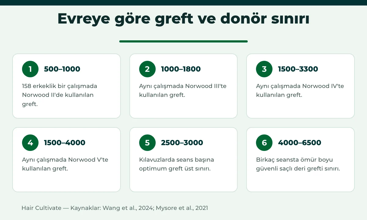 Kaç greft gerekir: Norwood evresine göre greft aralıkları ve donör sınırları