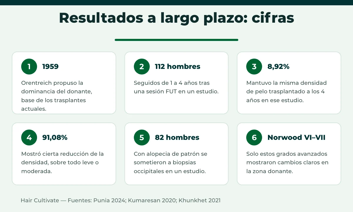 Trasplante capilar permanente: cifras clave de estudios a largo plazo