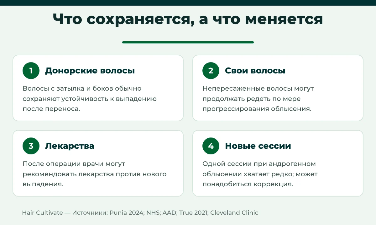Пересадка волос навсегда: что сохраняется и что может измениться со временем