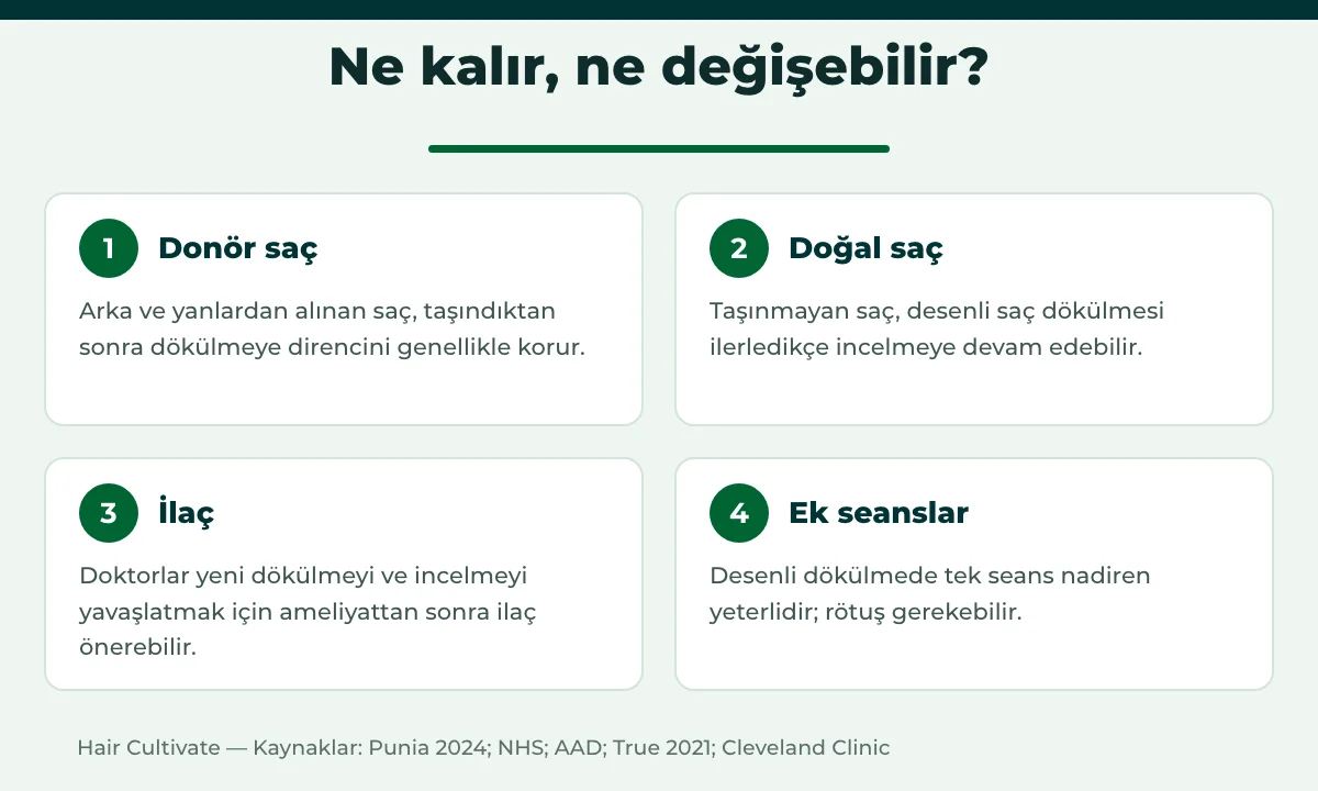 Saç ekimi kalıcı mı: neyin kaldığı ve zamanla neyin değişebileceği