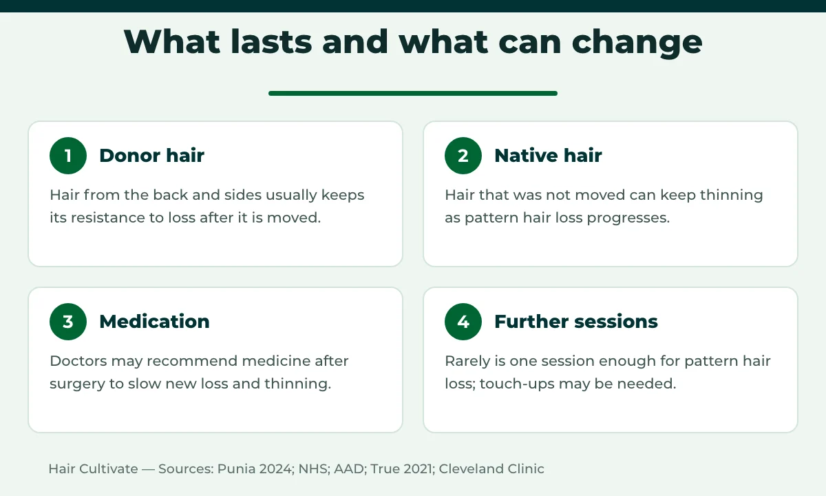 Is a hair transplant permanent: what lasts and what can change over time