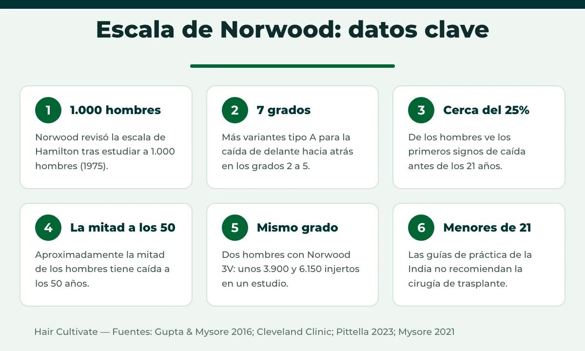 Datos y cifras clave sobre la escala de Norwood y la caída del pelo