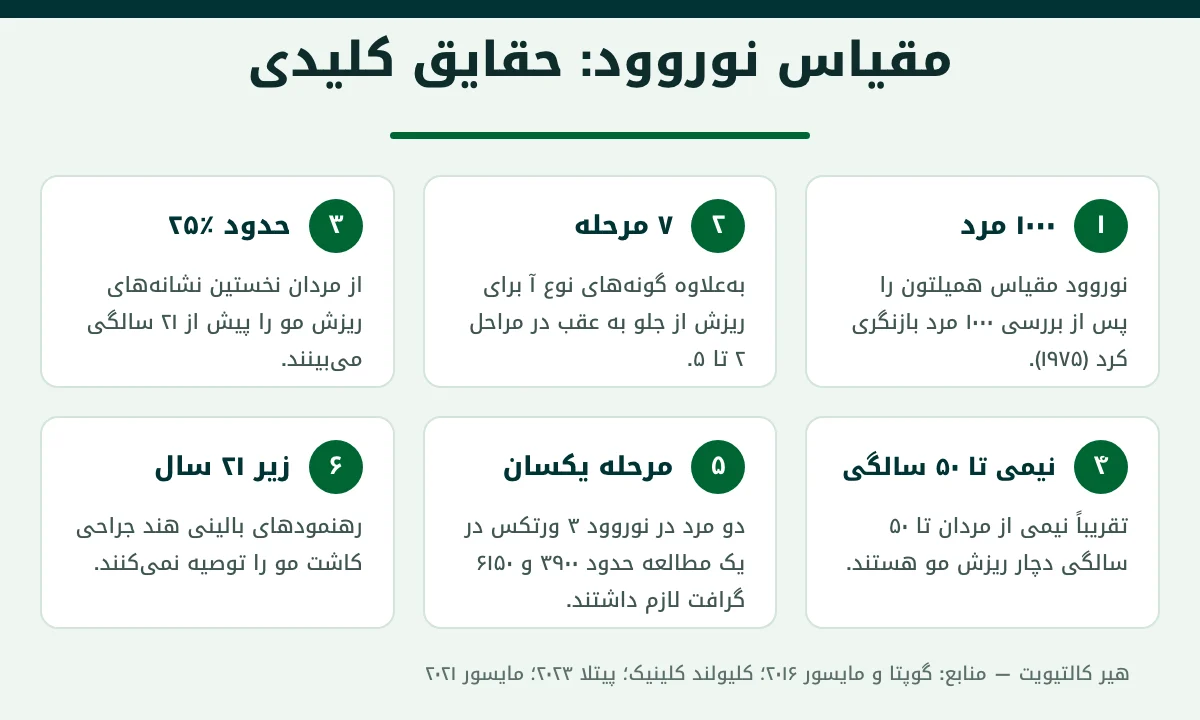 حقایق و اعداد کلیدی درباره مقیاس نوروود و ریزش مو