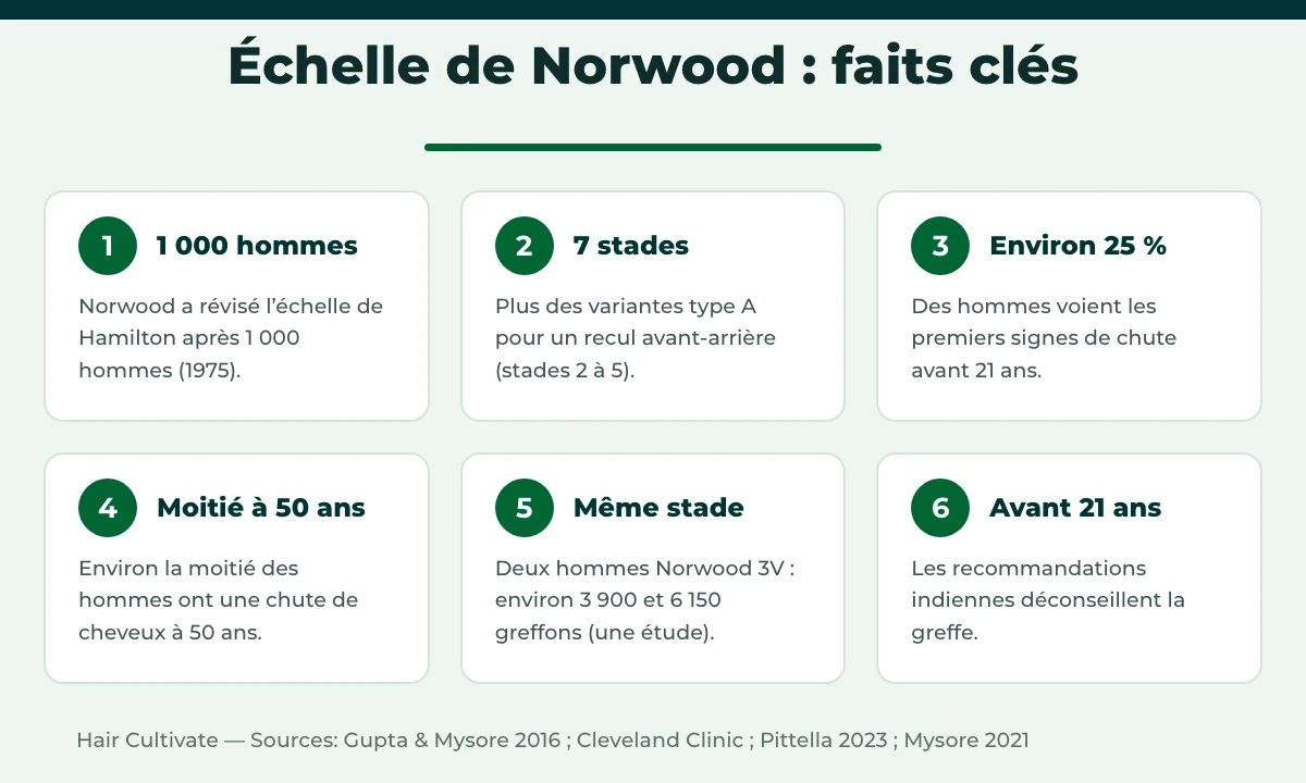 Faits et chiffres clés sur l’échelle de Norwood et la chute de cheveux
