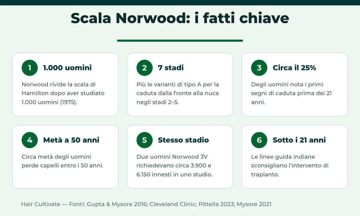 Fatti e numeri chiave sulla scala Norwood e sulla caduta dei capelli