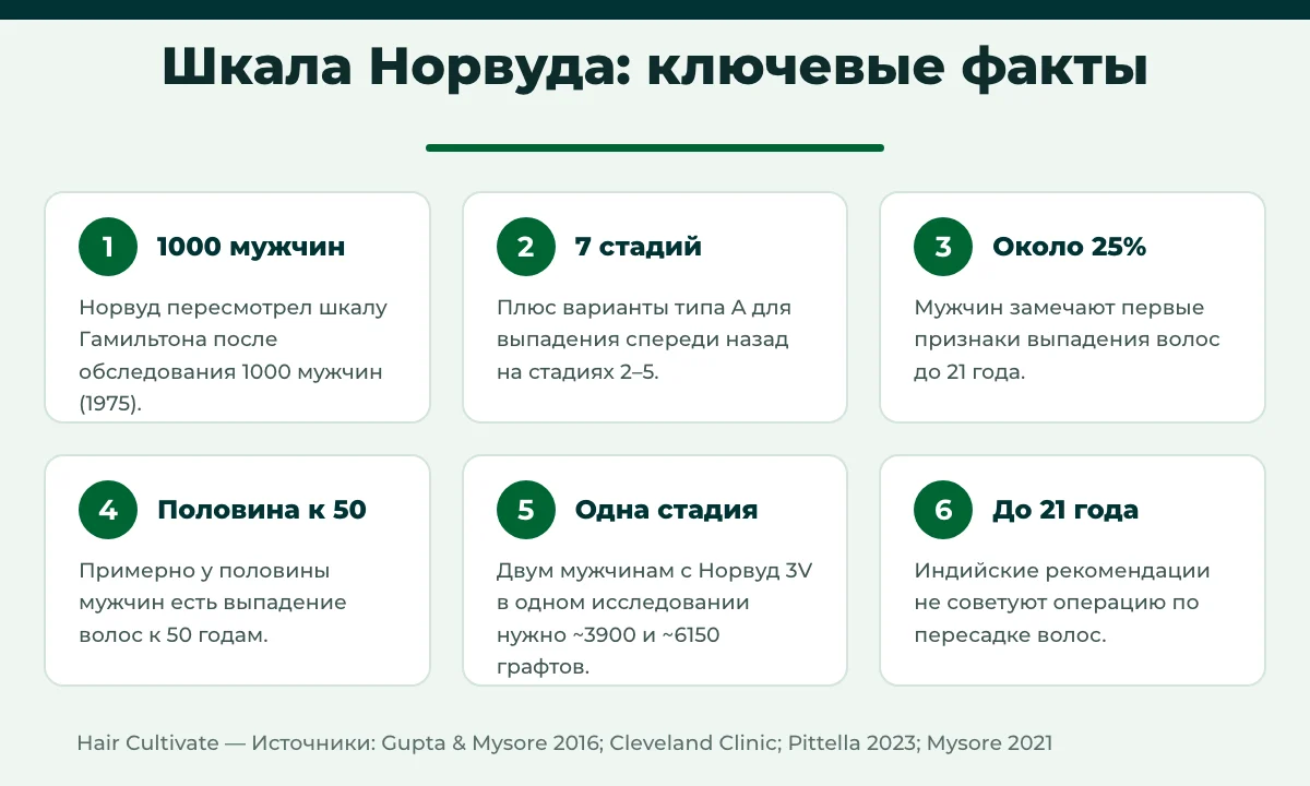 Шкала Норвуда: ключевые факты и цифры о выпадении волос