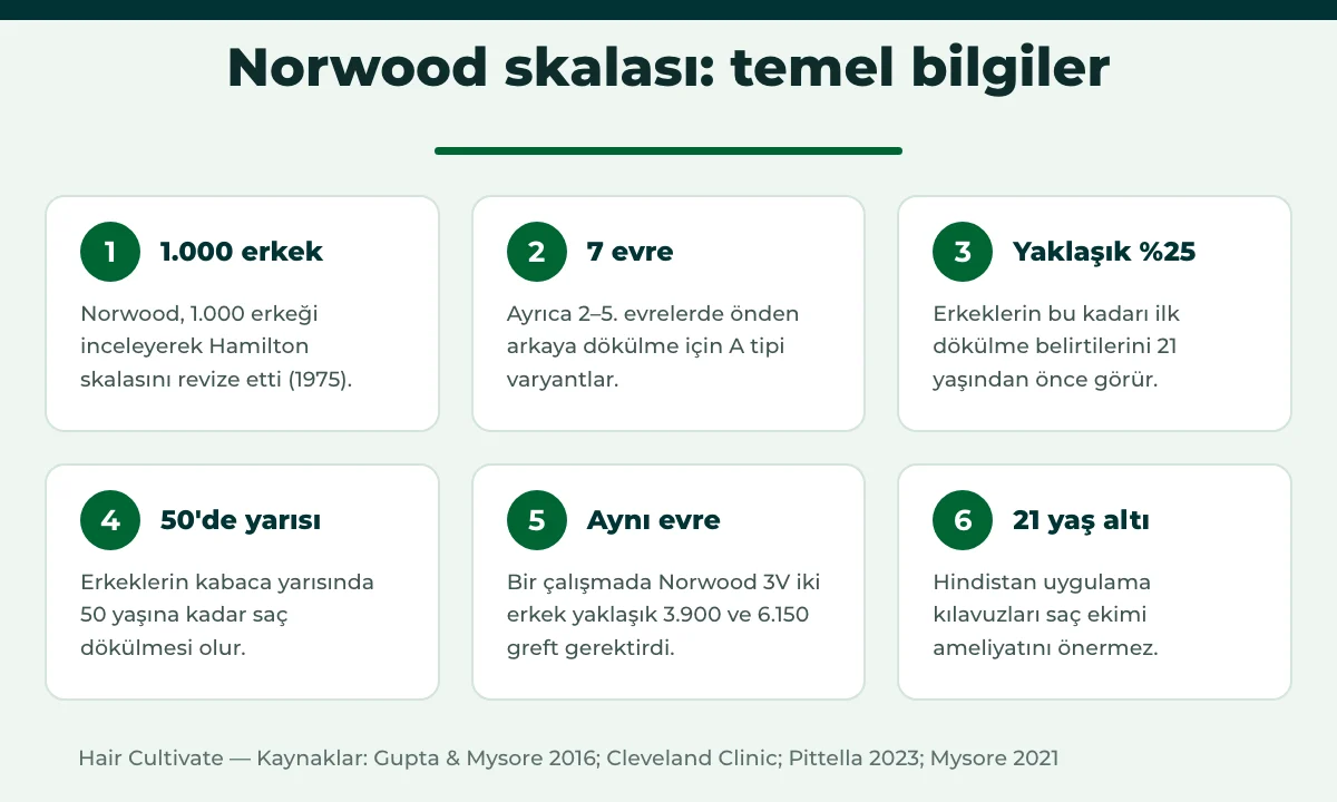 Norwood skalası ve saç dökülmesi hakkında temel bilgiler ve rakamlar