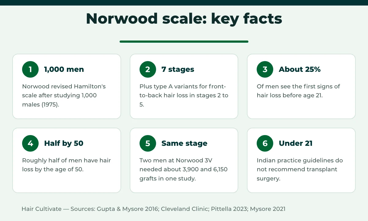 Key facts and numbers about the Norwood scale and hair loss