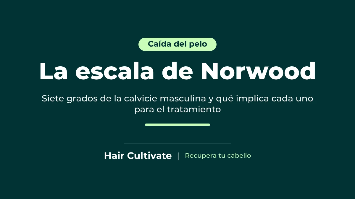 Grados de la escala de Norwood de la calvicie masculina explicados