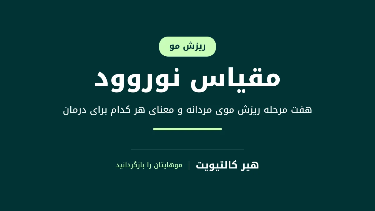 توضیح مراحل مقیاس نوروود در طاسی الگوی مردانه
