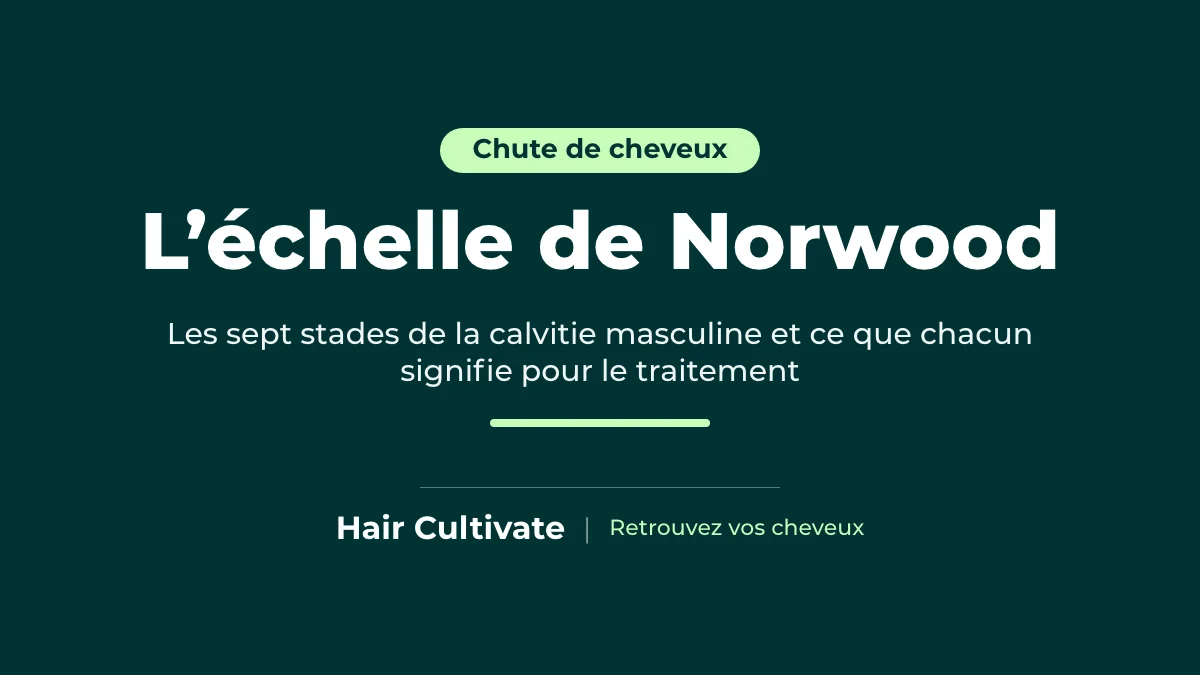 Les stades de l’échelle de Norwood de la calvitie masculine expliqués