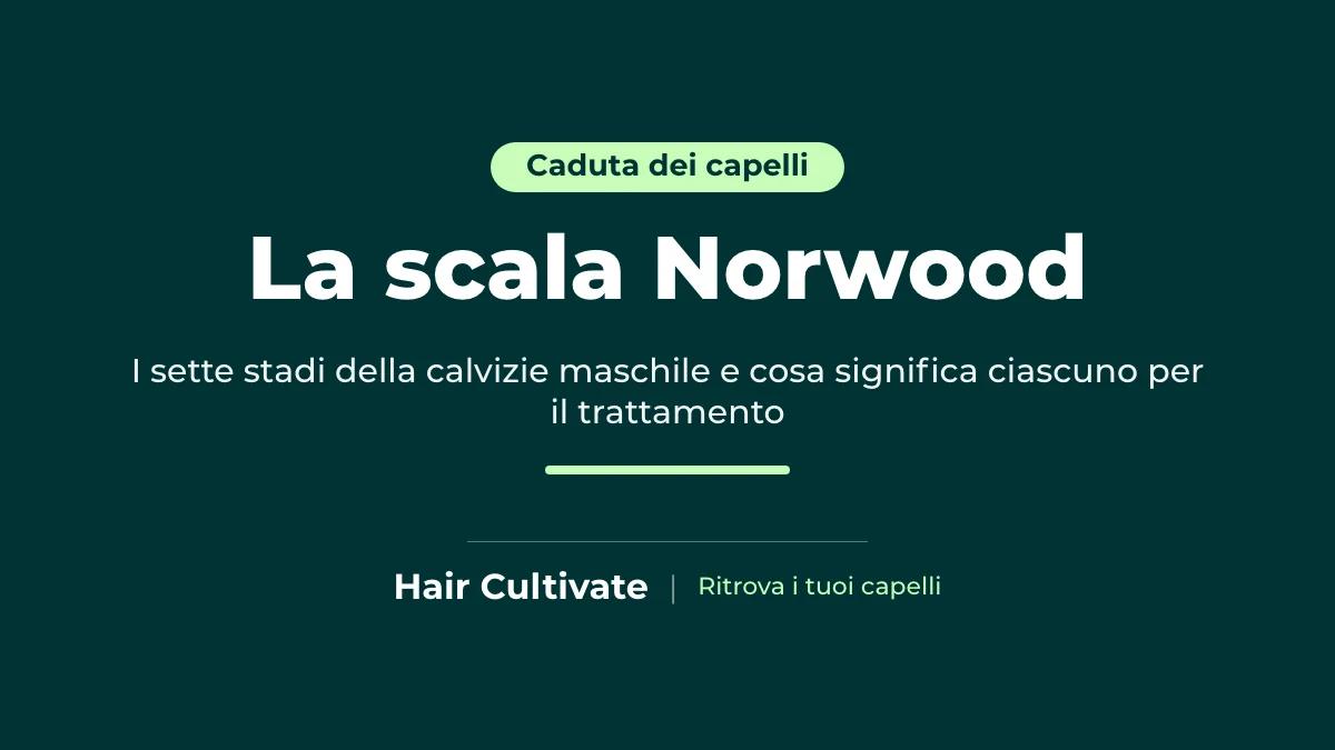 Gli stadi della scala Norwood della calvizie maschile spiegati
