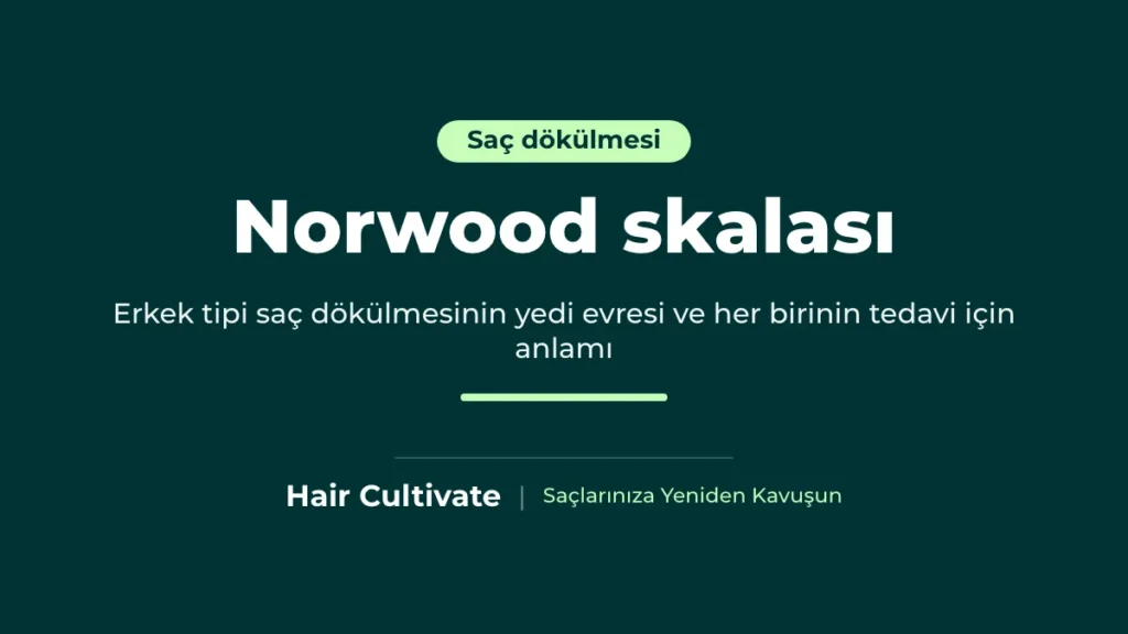 Erkek tipi kellikte Norwood skalası evreleri açıklamalı