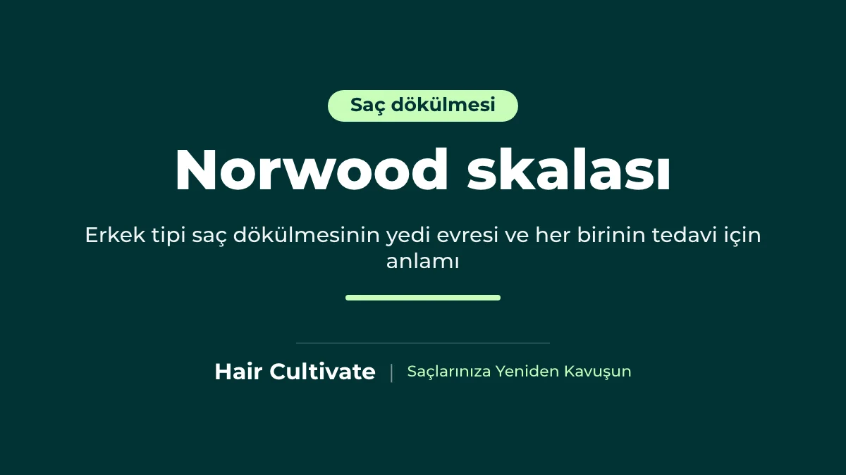 Erkek tipi kellikte Norwood skalası evreleri açıklamalı