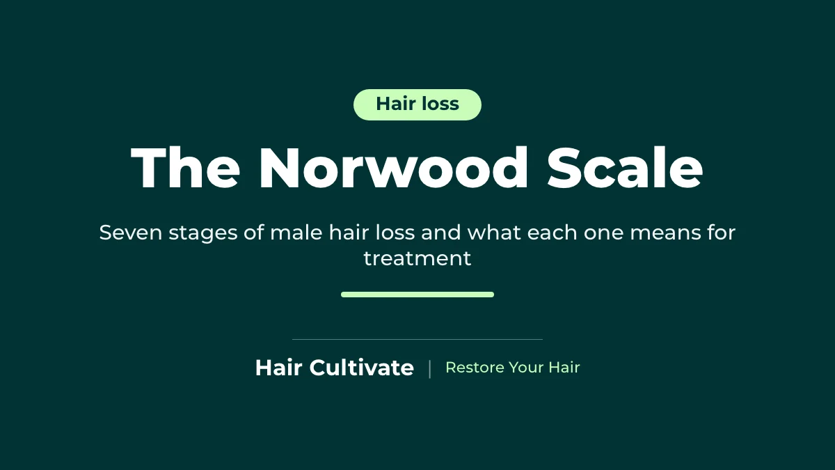 Norwood scale stages of male pattern baldness explained
