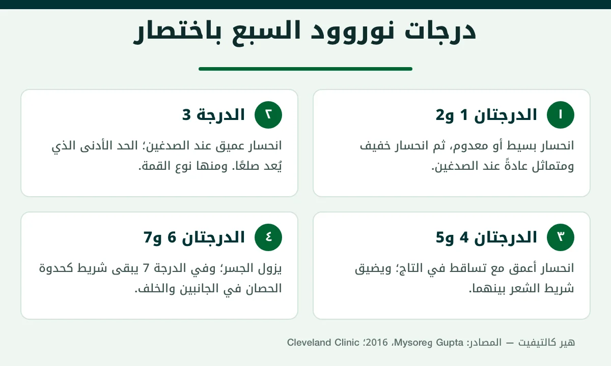 الدرجات السبع على مقياس نوروود للصلع الوراثي عند الرجال
