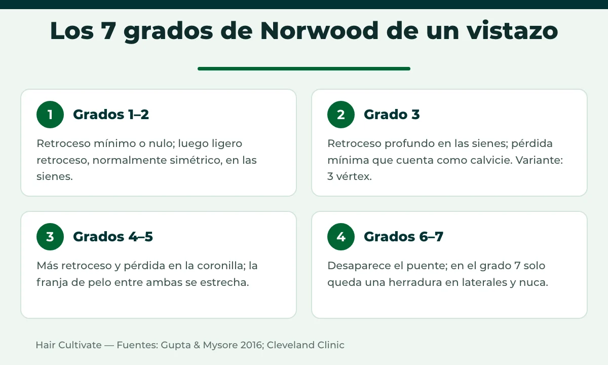 Los 7 grados de la escala de Norwood para la alopecia de patrón masculino